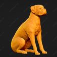 2527-Boxer_Pose_04.jpg Boxer Dog 3D Print Model Pose 04
