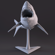 16.png White Shark Statue