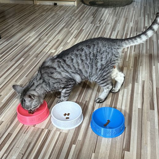 IMG_4608.jpeg Cat Bowl