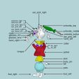 rabbit assembly1.jpg Fichier 3D gratuit Lapin blanc・Objet pour impression 3D à télécharger