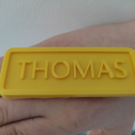 THOMAS plate 3D model