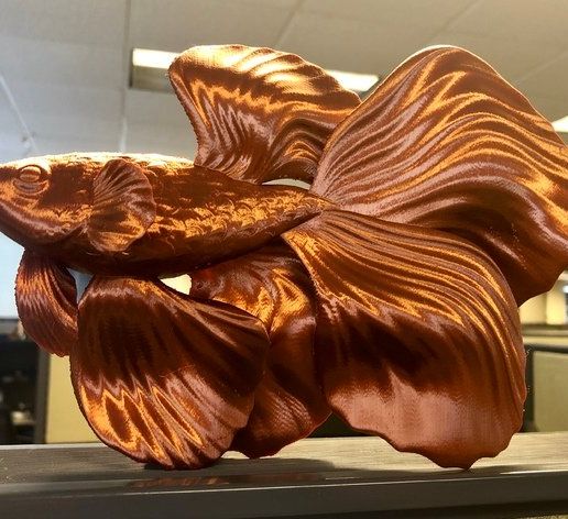 Print_01.jpg Betta Fish