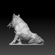 boar3.jpg Boar - decorative boar - decoration boar 3d model for 3d print