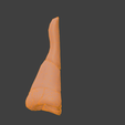 14.png 3D Nose Anatomy Model