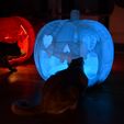 DSC_1548.jpg Giant Jack O Lantern Pumpkin Pet Bed