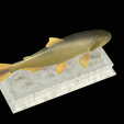 Golden-dorado-statue-20.png fish golden dorado / Salminus brasiliensis statue detailed texture for 3d printing
