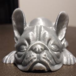 Niedliche schlafende liegende französische Bulldogge