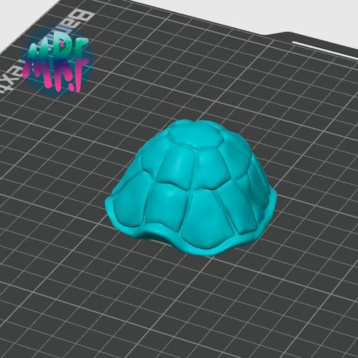 12.jpg FLEXI PRINT-IN-PLACE TURTLE