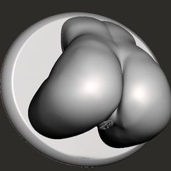 Image4.jpg STL file Nice Ass #04 - 3D Print STL - OBJ Files・3D print design to download