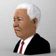 nelson-mandela-bust-ready-for-full-color-3d-printing-3d-model-obj-mtl-fbx-stl-wrl-wrz (3).jpg Nelson Mandela bust ready for full color 3D printing