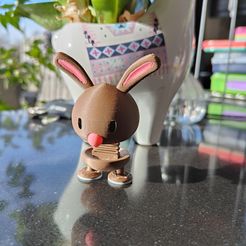 IMG20230316165511.jpg STL-Datei Bunny Springie kostenlos・3D-Druck-Idee zum Herunterladen