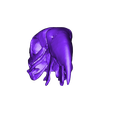 Skull_macow.stl Fichier STL gratuit Squelette d'airains d'oiseaux・Modèle à télécharger et à imprimer en 3D