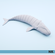 SOUTHERN_RIGHT_WHALE_02.png FLEXI ARTICULATED WHALES