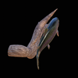 pstruh-11.png rainbow trout underwater statue on the wall detailed texture for 3d printing