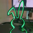 IMG_1978.jpeg Easter Banny silhouette LED LIGHT