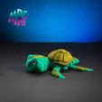 06.jpg Turtle due Flexi