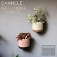 CANNELE_Wall-grey.jpg CANNELÉ  |  Wall / Fridge Planter