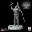 720X720-mos-druid.jpg Mists of Sacrifice Figures