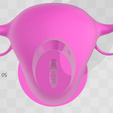 image_2024-01-23_202606378.png female reproductive system ovary cervix uterus vase