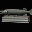 northern-pike-statue-box-1-2-1-33.png fish NORTHERN PIKE (ESOX LUCIUS) open mouth with storage space / for 3d printing