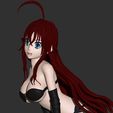 2.jpg Rias Gremory from High School DxD
