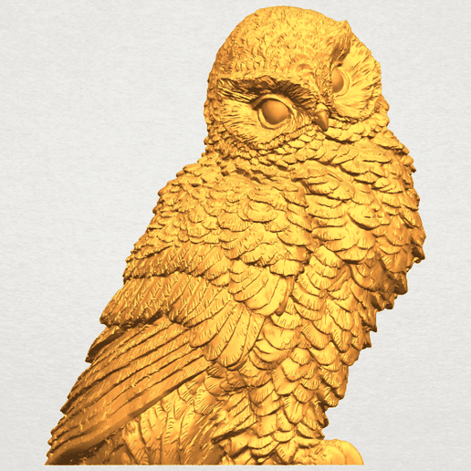 Owl 04 3D model