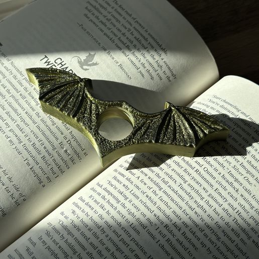 Wings of Valor Page Holder