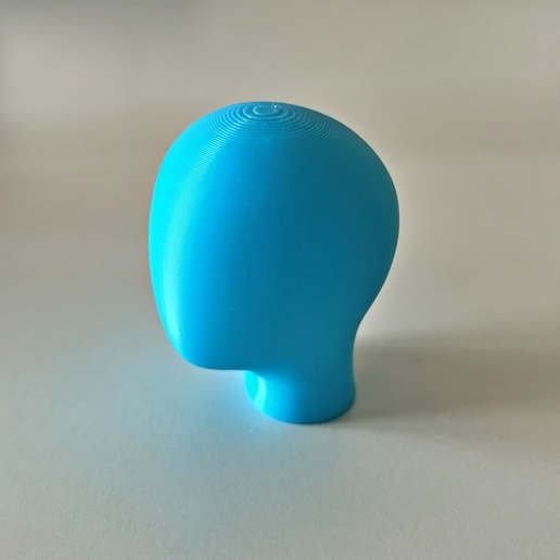 c103.png Free Mannequin Head