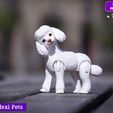 L-2.jpg Realistic Poodle dog articulated flexi toy named Luna  (STL & 3MF)