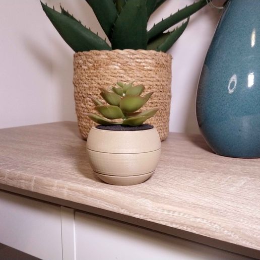 Small Flower Pot with Secret Container - 3D model önizlemesi