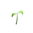 Sprout_01.jpg Plant Sprout
