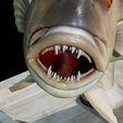 Dentex-trophy-27.png fish Common dentex / dentex dentex trophy statue detailed texture for 3d printing