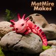 MMM_Axolotl003.jpg Datei 3D Bezaubernder Axolotl mit Gelenk, bedruckter Körper, einrastbarer Kopf, niedlicher Flexi・Design für 3D-Drucker zum herunterladen