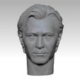 N1.jpg Leon:The Professional Norman Stanfield HEAD SCULPTURE 3D PRINT MODEL
