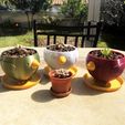 Maceta-Picolino-3d-y-pot.jpg Pikolino planter