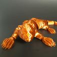 20240311_090226.jpg Flexi Otter - poseable - fun animal - articulated - print in place