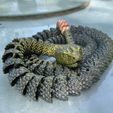Serpiente y cascabel