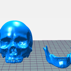 Craneo.png Halloween Skull