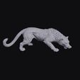 panther_0002.jpg Panther