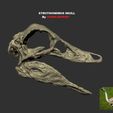 STRUT-IMG2.jpg Dinosaur skull -  Struthiomimus altus