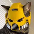IMG_3735.jpeg SpaceMarine Cat Helmet Mark VIII