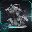 Raven-Lord.jpg Shadowstrike, El Señor del Cuervo