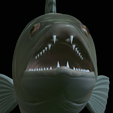 zander-statue-4-open-mouth-1-25.png fish zander / pikeperch / Sander lucioperca  open mouth statue detailed texture for 3d printing