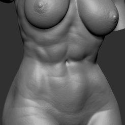 Torsofeme3.jpg Archivo STL Torso Femenino・Objeto de impresión 3D para descargar