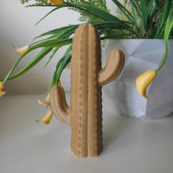 338547040_946416349698678_2501405090152782596_n.jpg STL file Cactus home decor・3D printable model to download