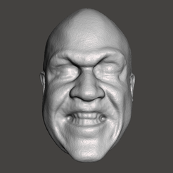 Screenshot-1514.png Файл STL WWE WWF LJN Style Zeus Head Sculpt・Шаблон для 3D-печати для загрузки