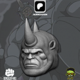 4.png SERIE RHINO TAS