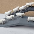 _01.jpg Sheep for slopes, ramps and flat surfaces (1-148)