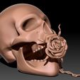 skull-3d-model-obj-stl-ztl-2.jpg Skull 3D print model