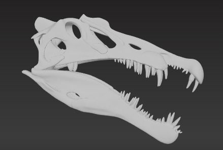 Spinosaurus aegyptiacus (Spinosaurus aegyptiacus) 3D model